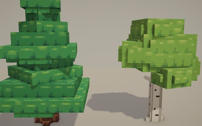 Clustered pine and birch: softer leaf clusters with drooping branches on the pine.